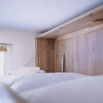 Panorama Schmittendrin By We Rent, Summercard Included Zell am See