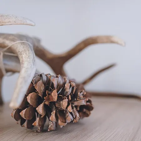 Chalé Panorama Schmittendrin By We Rent *