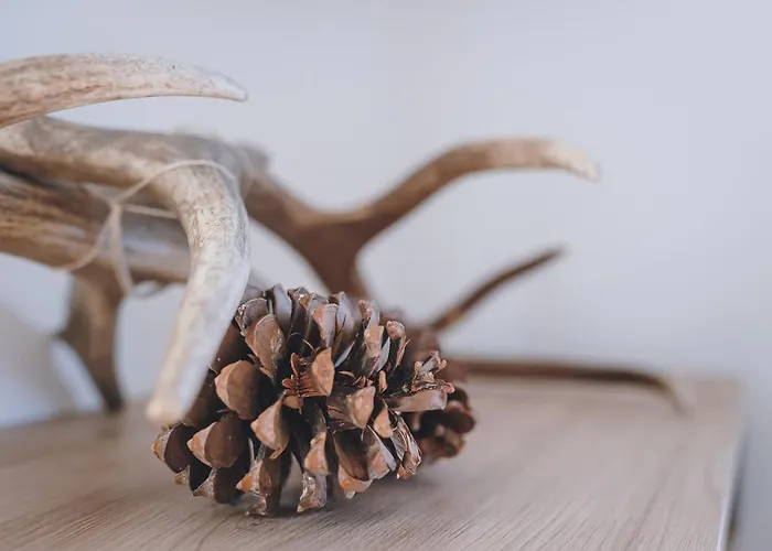 Horská chata Panorama Schmittendrin By We Rent *