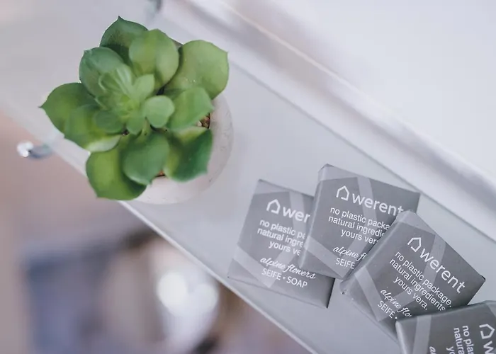 Panorama Schmittendrin By We Rent Zell am See